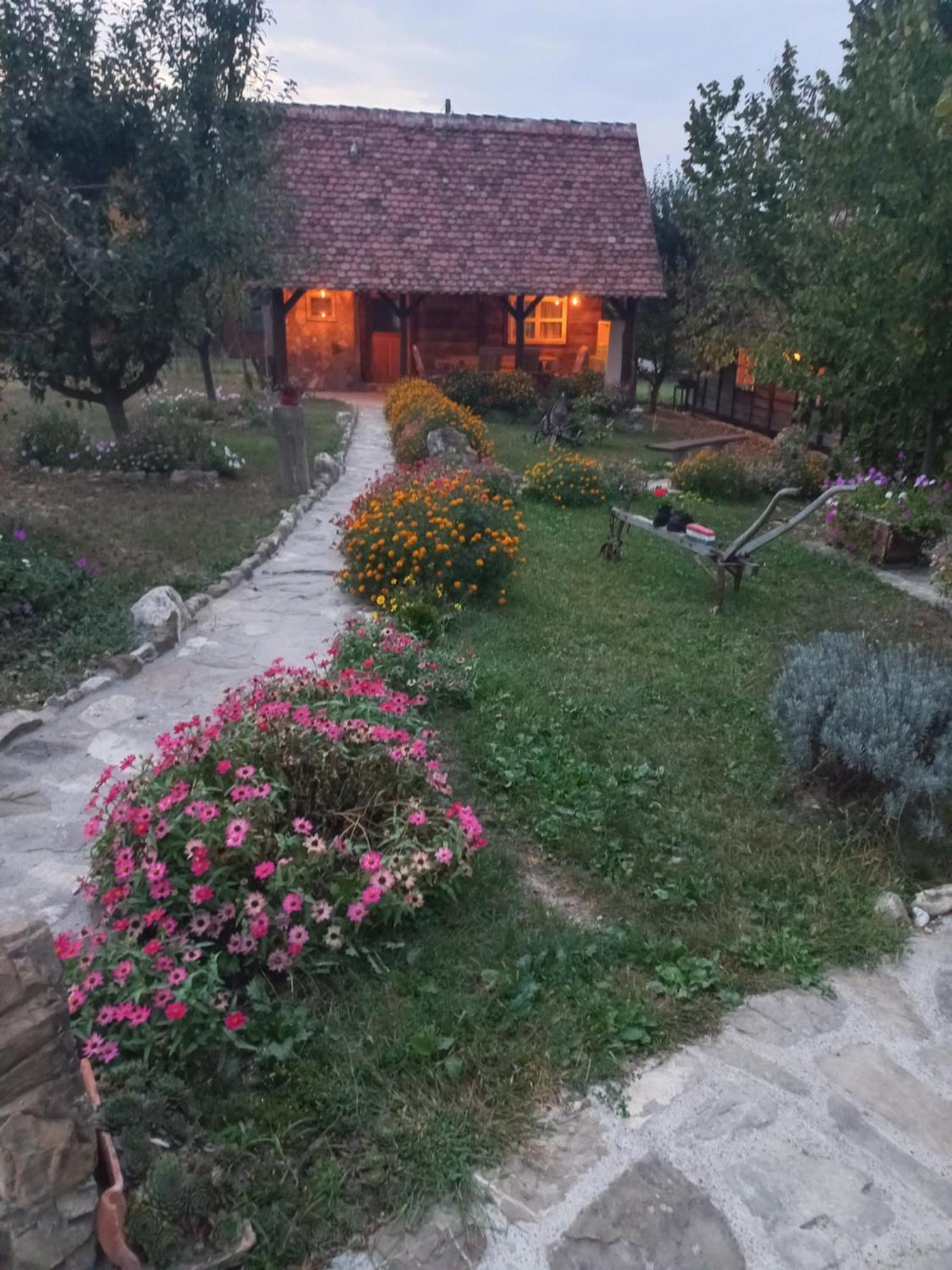 Magaze De Luxe Villa Gradacac Ngoại thất bức ảnh